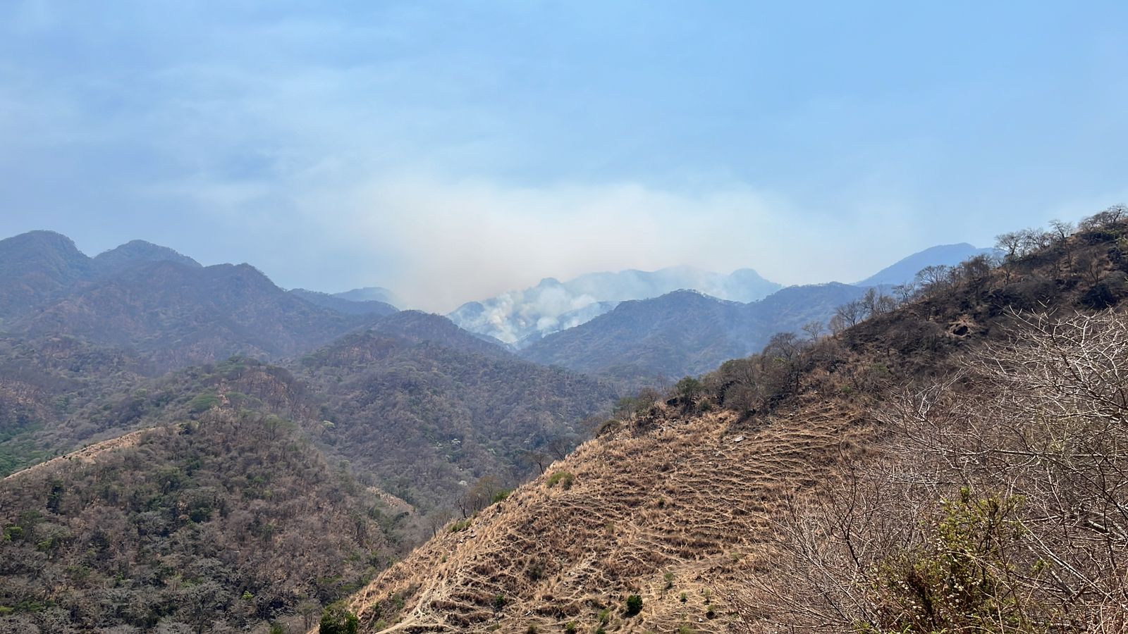 Brigada contra incendios de Peña Colorada se suma a incendio en La Gloria