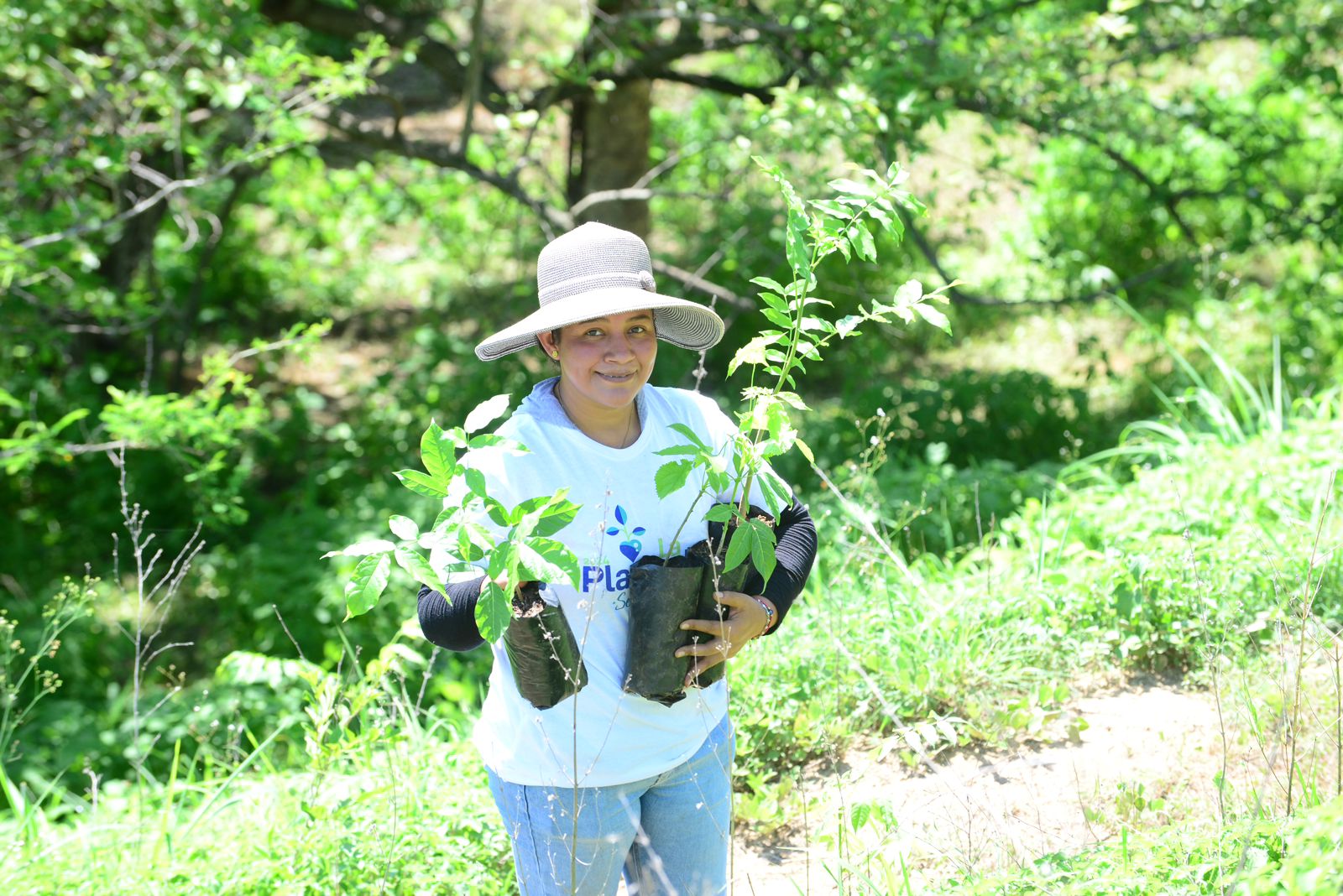 ¡Se armó La Plantadera! Peña Colorada ha reforestado lo equivalente a 1500 estadios de futbol